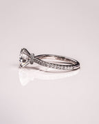 Jody - Circular Design