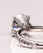 Jody - Circular Design