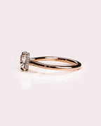 Jasmine - Extended Cushion