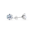 Tera Earrings in White Gold