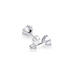 Tera Stud Earrings